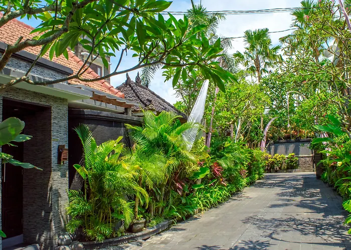 The Bali Dream