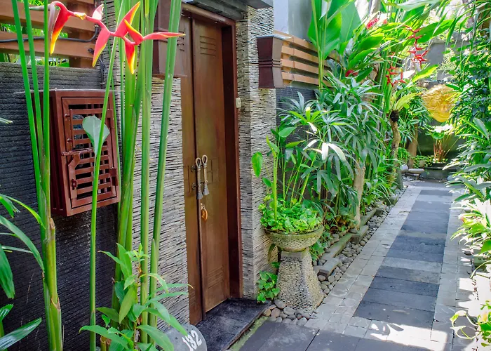 The Bali Dream