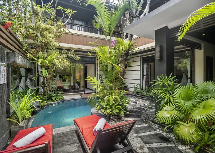 The Bali Dream