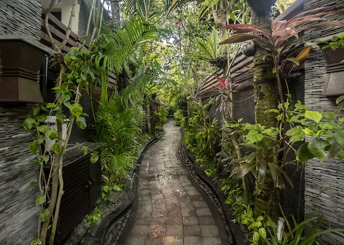The Bali Dream