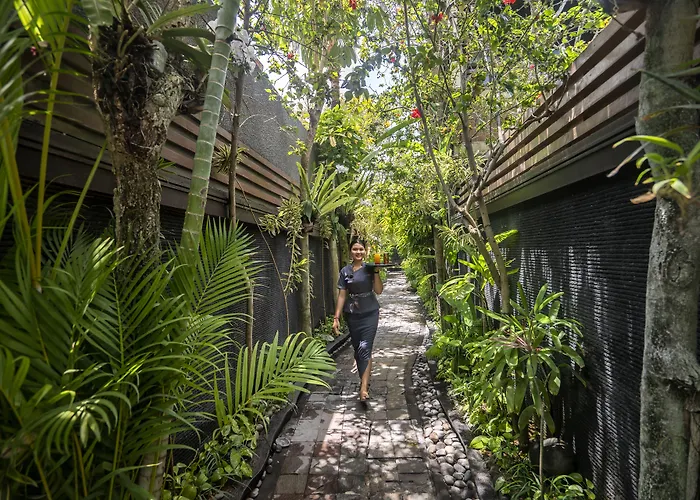 The Bali Dream *