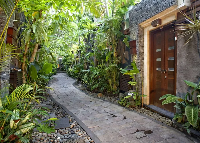 The Bali Dream *