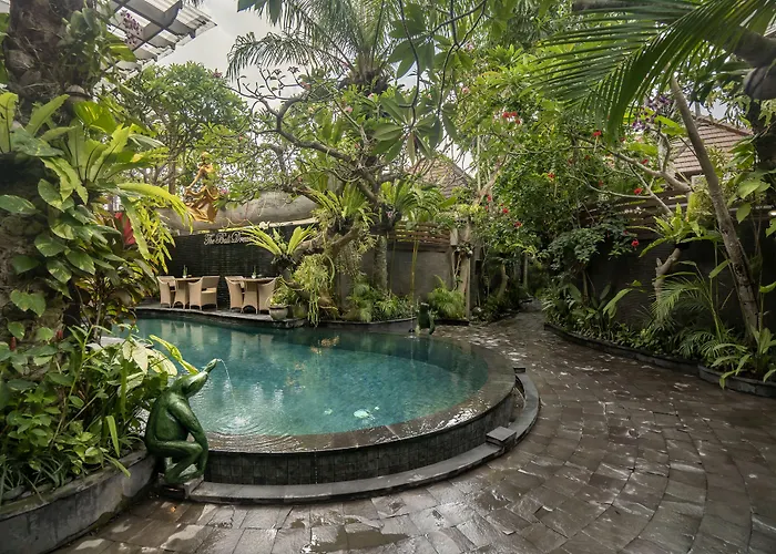 The Bali Dream